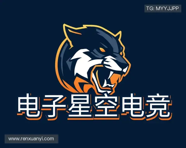 发现星空电竞官网